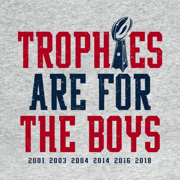 Patriots Trophies Are For The Boys by KDNJ